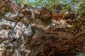 Undara Lava Tubes Delicate Ecosystem On Tour Australia