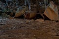 Undara Lava Tubes Delicate Ecosystem On Tour Australia