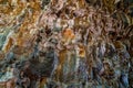 Undara Lava Tubes Delicate Ecosystem On Tour Australia