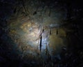 Undara Lava Tubes Delicate Ecosystem On Tour Australia