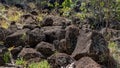 Undara Lava Tubes Delicate Ecosystem On Tour Australia