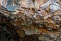 Undara Lava Tubes Delicate Ecosystem On Tour Australia