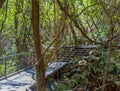 Undara Lava Tubes Delicate Ecosystem On Tour Australia