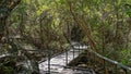 Undara Lava Tubes Delicate Ecosystem On Tour Australia