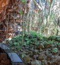 Undara Lava Tubes Delicate Ecosystem On Tour Australia