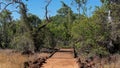 Undara Lava Tubes Delicate Ecosystem On Tour Australia