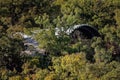 Aerial View Of Australian Bush Resort