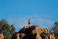 Bush Walker Standing On Volcanic Rock Looking At View Of Australian Bush