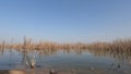 An undeclared beach in the Sea of Galilee near Tiberias