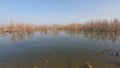 An undeclared beach in the Sea of Galilee near Tiberias - Israel