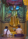 Undefined Buddhist pray aound the Shwedagon Pagoda on January 7, 2011
