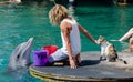 The undefined trainer feed the dolphins at the Dolphin Reef in Eilat