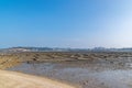 Under the blue sky, the lines and textures of bamboo rafts and ropes in the seaweed farm on the beach are very neat Royalty Free Stock Photo