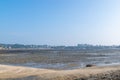 Under the blue sky, the lines and textures of bamboo rafts and ropes in the seaweed farm on the beach are very neat Royalty Free Stock Photo