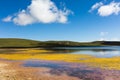 High-altitude lake, 4272 meters above sea level, blue sky and white clouds, lake full of yellow flowers, Eling Lake, Qinghai, Chin