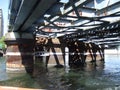 Under the bridge