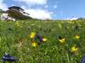 Rifugio tissi