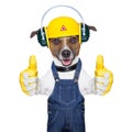 Under construction dog Royalty Free Stock Photo