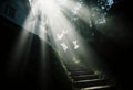 Under a dark sky, ghostly apparitions hover above a stone staircase. Soft beams of light shine through the surrounding trees Royalty Free Stock Photo