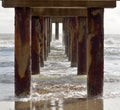 Under fishing pier in Florida