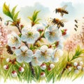 Watercolor, spring is coming, spring is on its way, flowers in the cherry orchard are pollinated by a bee.