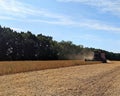 Under the hot summer sky - soybean harvest fields