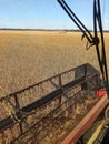 Under the hot summer sky - soybean harvest fields