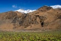 High Country Farming