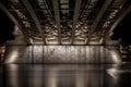 Under the Margit Bridge in Budapest, Hungary