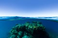 An under over split shot of a coral reef rising out of deep, clear blue water on a sunny day on the Great Barrier Reef Royalty Free Stock Photo