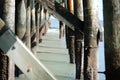 Under the pier during low tide at Isle of Palms in Charleston, SC.