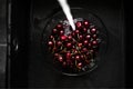 Young woman washing cherries at home Royalty Free Stock Photo