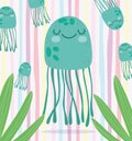 Under the sea, jellyfishes algae foliage wide marine life landscape cartoon