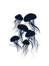 Under the sea jellyfishes navy picture Royalty Free Stock Photo