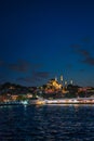 The mosque of Suleyman the Magnificent in the moonlight, Istanbul, Turkey Royalty Free Stock Photo