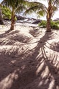 Under the shade of palm tree fronds on a sandy beach at Lefaga, Royalty Free Stock Photo