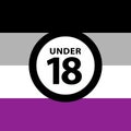 18 under sign warning symbol on the asexual pride flags background, LGBTQ pride flags of lesbian, gay, bisexual, transgendered