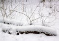 Under the snow countryside near Paris France