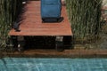 Blue suitcase on a wooden  on a wooden bridge surrounded by rush plants and crystal water Royalty Free Stock Photo