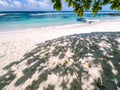 Under a tropical tree casting dappled shade on an idyllic white