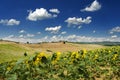 Under the Tuscan sky