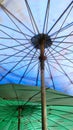 Under the umbrella shade