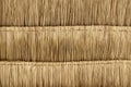 Under view of step dried nipa palm leaf that is used to make a roof. Royalty Free Stock Photo