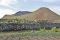 Under the volcano on Lanzarote. Royalty Free Stock Photo