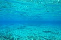 Under water marine background