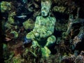 Under water sculpture