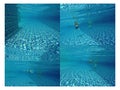 Under water swimming pool shots seeing small mosaic tiles in various blue schemes palettes. Royalty Free Stock Photo