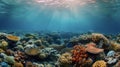 Under the waters surface coral reefs and other marine life struggle to survive as the oil suffocates and pollutes their Royalty Free Stock Photo