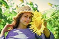 Under the weather. teen girl in sunflower field. concept of summer vacation. rich harvest and agriculture. happy Royalty Free Stock Photo