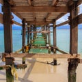 Under wooden jetty structure at Mantanani Island